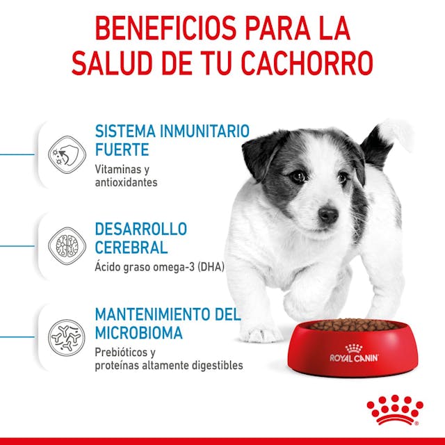 Royal Canin Mini Puppy - 3
