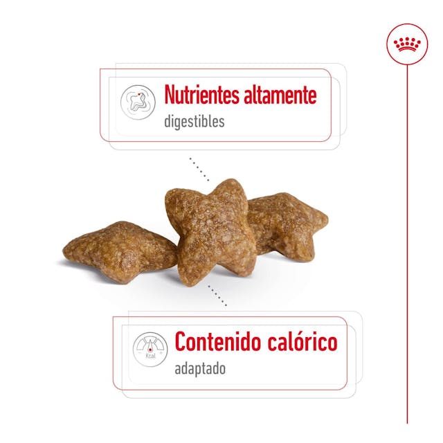 Royal Canin Mini Adult para Perro Adulto Raza Pequeña - 3