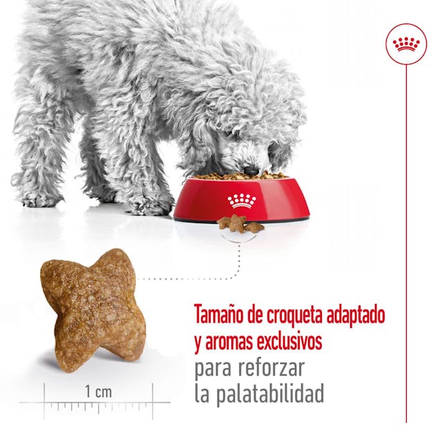 Royal Canin Mini Adult para Perro Adulto Raza Pequeña - 4