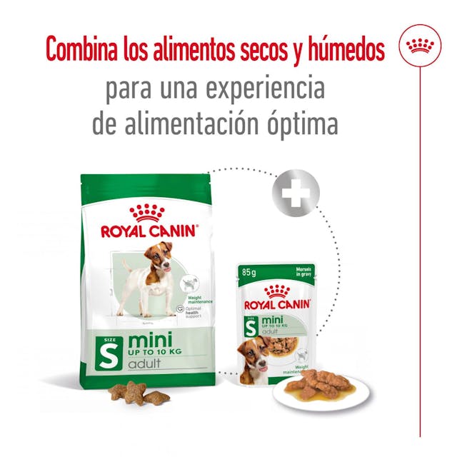 Royal Canin Mini Adult para Perro Adulto Raza Pequeña - 6