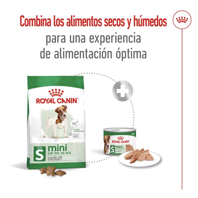 Royal Canin Mini Adult para Perro Adulto Raza Pequeña - 7