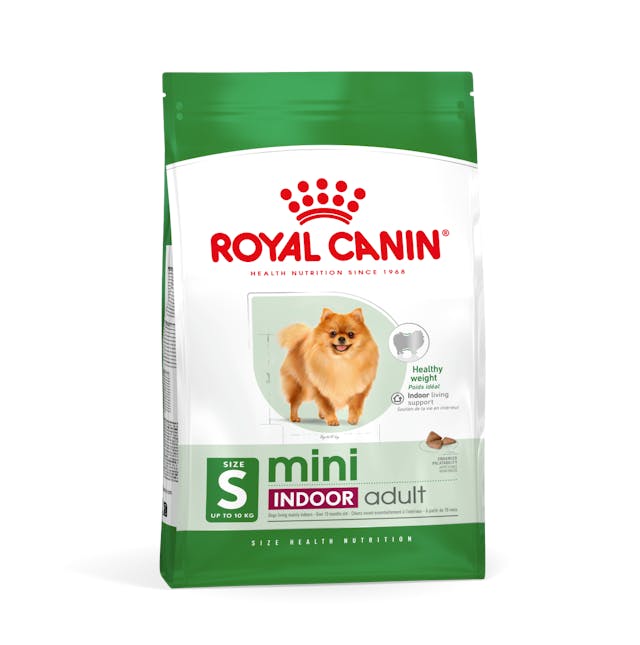 Royal Canin Mini Indoor Adult para Perro Adulto Raza Pequeña - 1