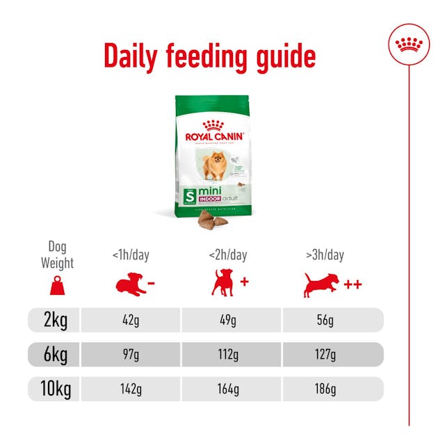 Royal Canin Mini Indoor Adult para Perro Adulto Raza Pequeña - 5