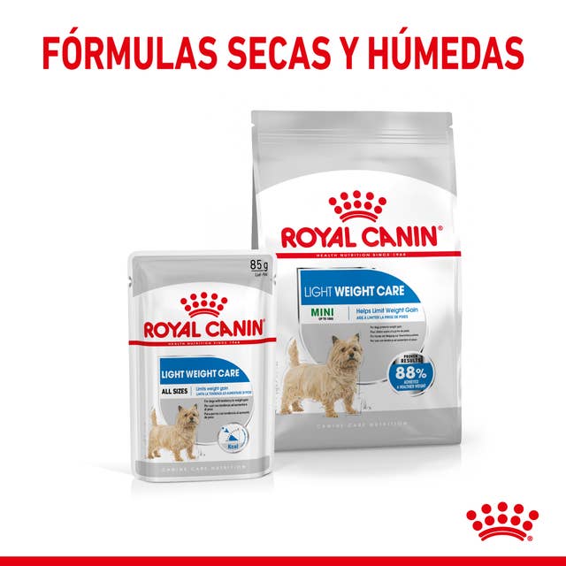 Royal Canin Mini Light Weight Care para Perro Adulto Raza Pequeña - 5