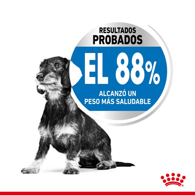 Royal Canin Mini Light Weight Care para Perro Adulto Raza Pequeña - 3