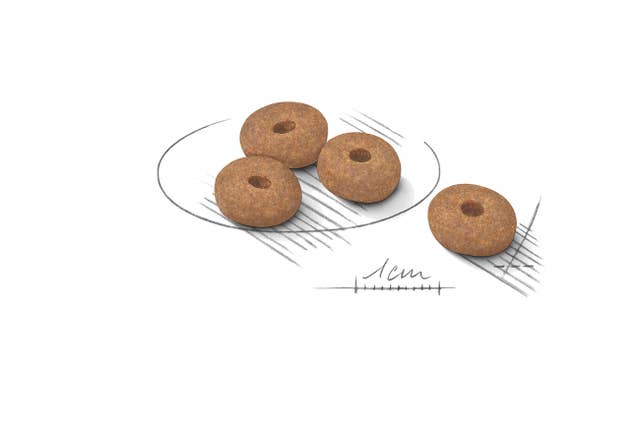 Royal Canin Mini Light Weight Care para Perro Adulto Raza Pequeña - 8