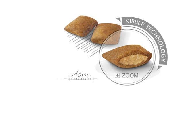 Royal Canin Mini Exigent para Perro Adulto Raza Pequeña - 8