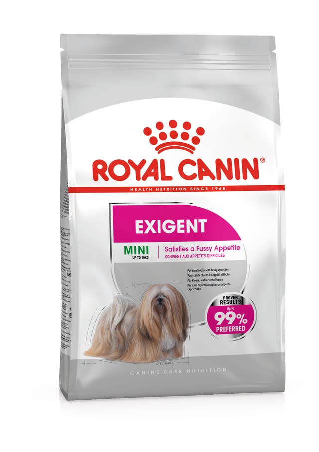 Royal Canin Mini Exigent para Perro Adulto Raza Pequeña - 1