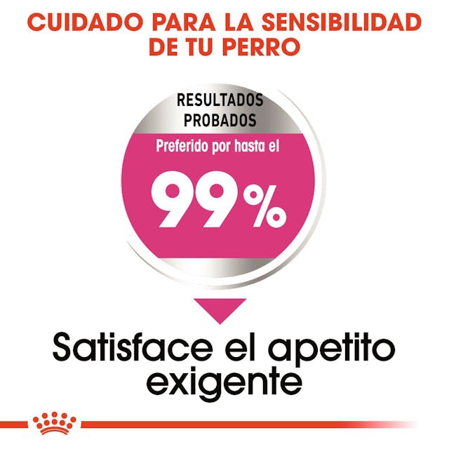 Royal Canin Mini Exigent para Perro Adulto Raza Pequeña - 2