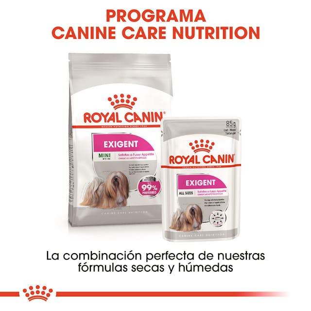 Royal Canin Mini Exigent para Perro Adulto Raza Pequeña - 5