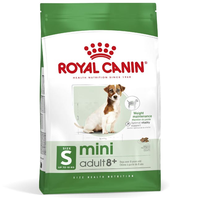 Royal Canin Mini Adult 8+ para Perro Senior - 1