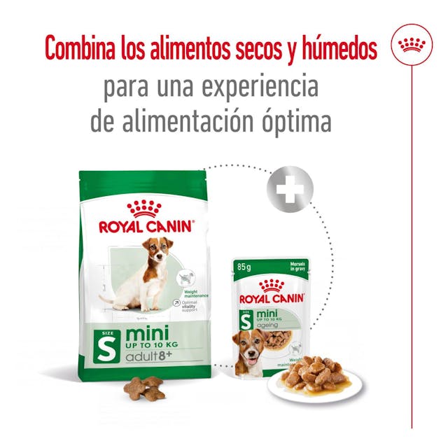 Royal Canin Mini Adult 8+ para Perro Senior - 6