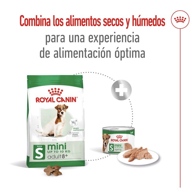 Royal Canin Mini Adult 8+ para Perro Senior - 7