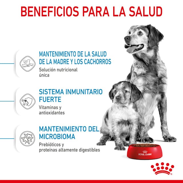 Royal Canin Starter Medium para Perro Cachorro - 5
