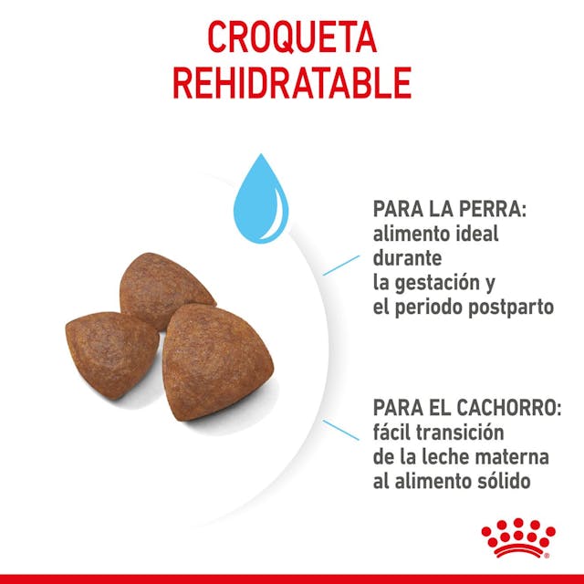 Royal Canin Starter Medium para Perro Cachorro - 6