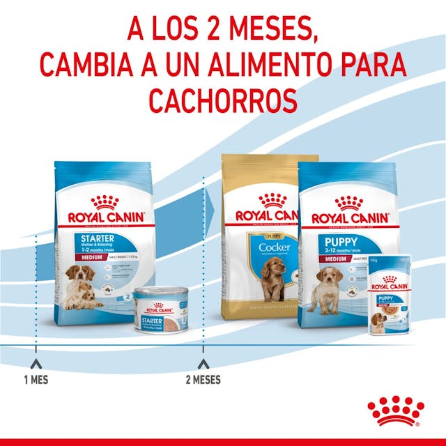 Royal Canin Starter Medium para Perro Cachorro - 7