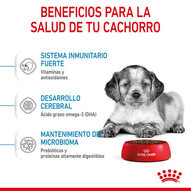Royal Canin Medium Puppy - 8