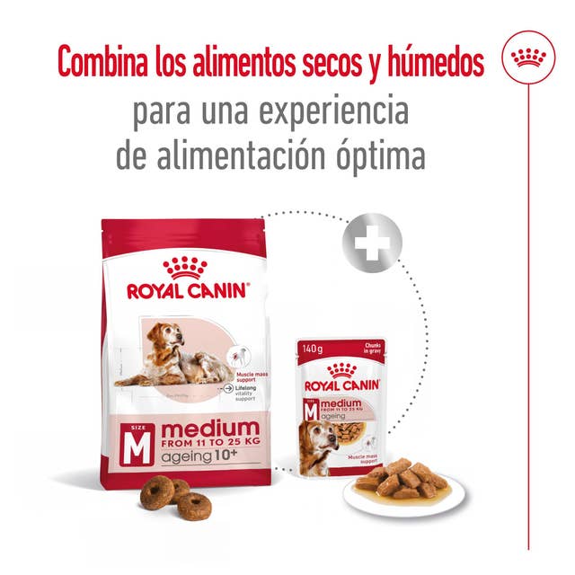 Royal Canin Medium Ageing para Perro Senior - 6