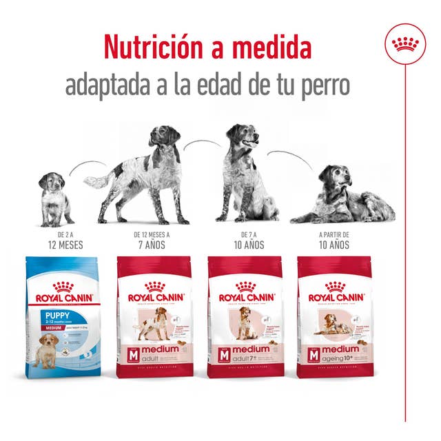 Royal Canin Medium Ageing para Perro Senior - 5
