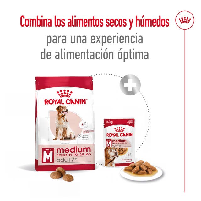 Royal Canin Medium Adult 7+ para Perro Senior - 6