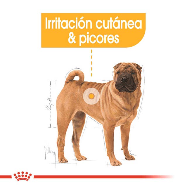 Royal Canin Dermacomfort para Perro Adulto Mediano - 5