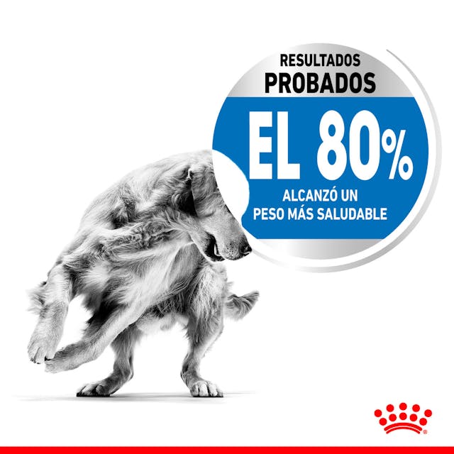 Royal Canin Medium Light Weight Care para Perro Adulto Mediano - 5