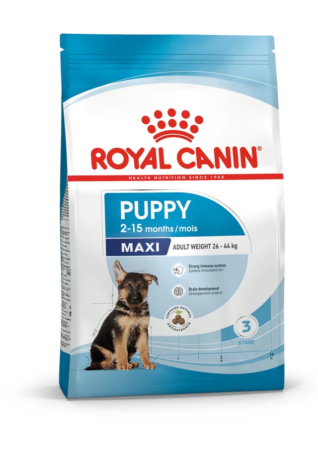 Royal Canin Maxi Puppy para Perro Cachorro Raza Grande - 1
