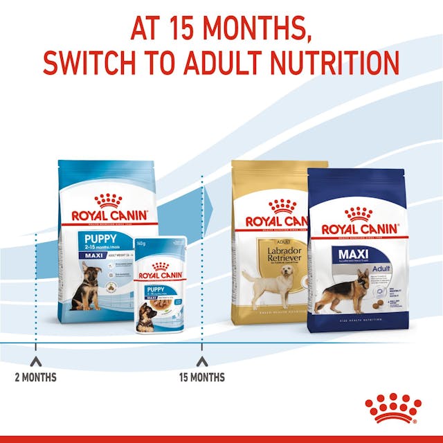 Royal Canin Maxi Puppy para Perro Cachorro Raza Grande - 5