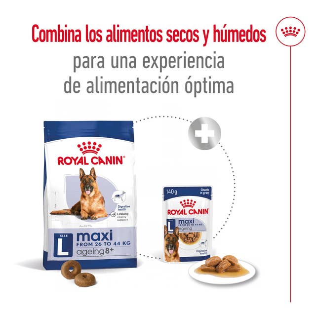 Royal Canin Maxi Ageing para Perro Senior - 6