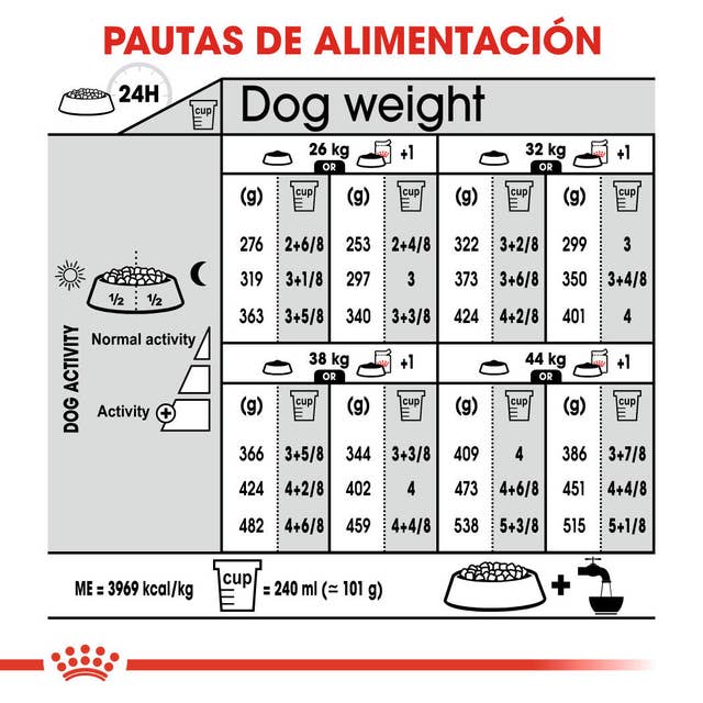 Royal Canin Maxi Dermacomfort para Perro Adulto Raza Grande - 5