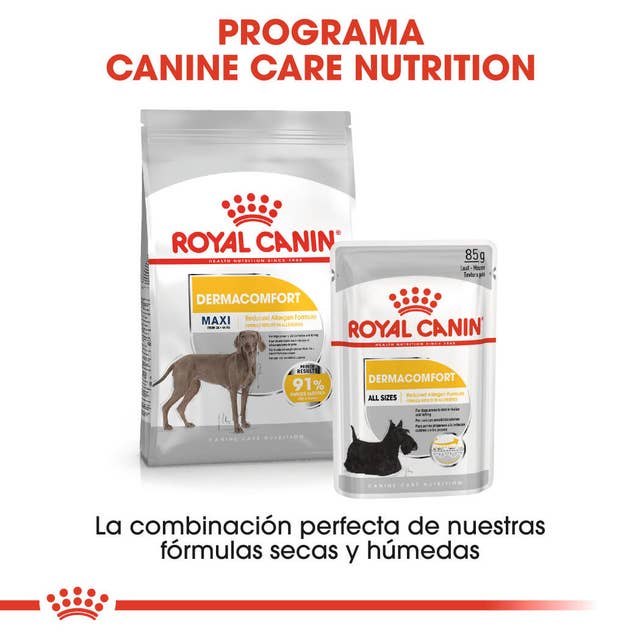 Royal Canin Maxi Dermacomfort para Perro Adulto Raza Grande - 2