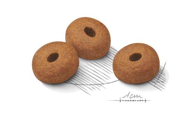 Royal Canin Maxi Light Weight Care para Perro Adulto Grande - 8