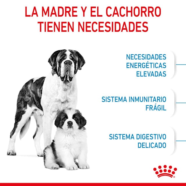 Royal Canin Starter Mother & Babydog para Perro Cachorro Raza Gigante - 7