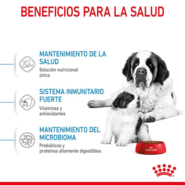 Royal Canin Starter Mother & Babydog para Perro Cachorro Raza Gigante - 8
