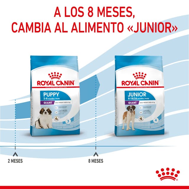 Royal Canin Giant Puppy - 2