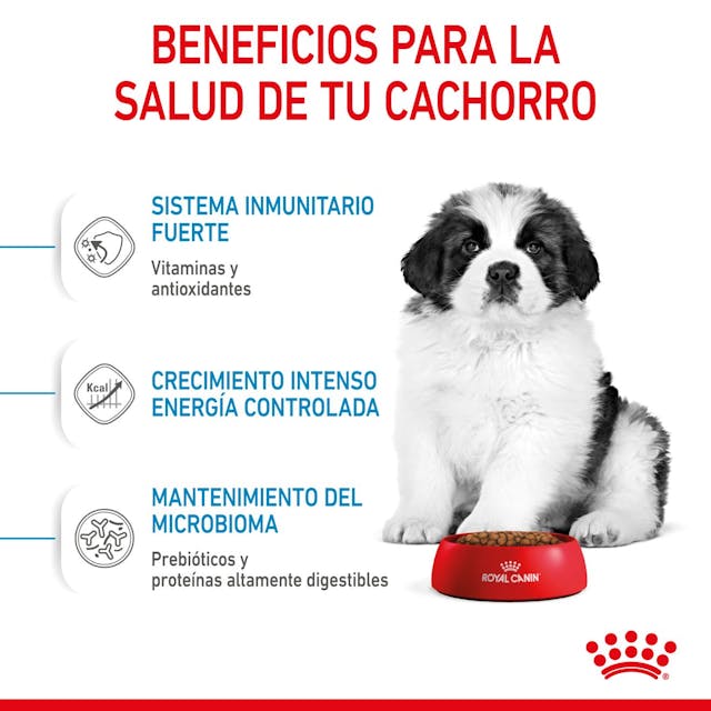 Royal Canin Giant Puppy - 4