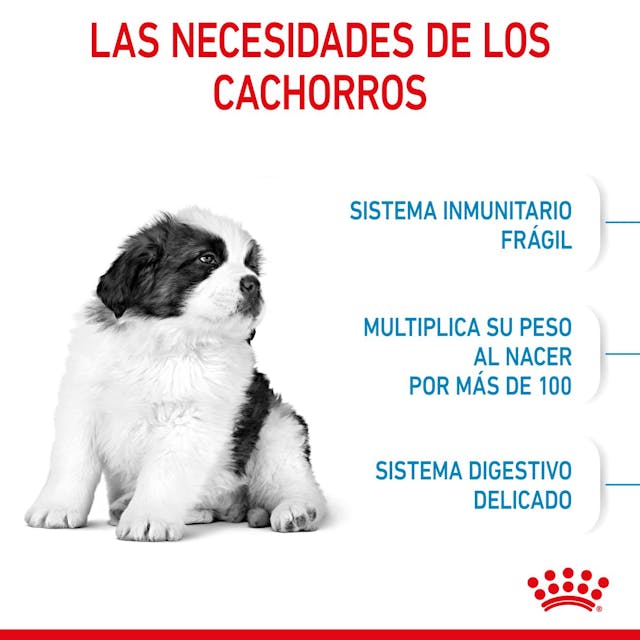Royal Canin Giant Puppy - 5