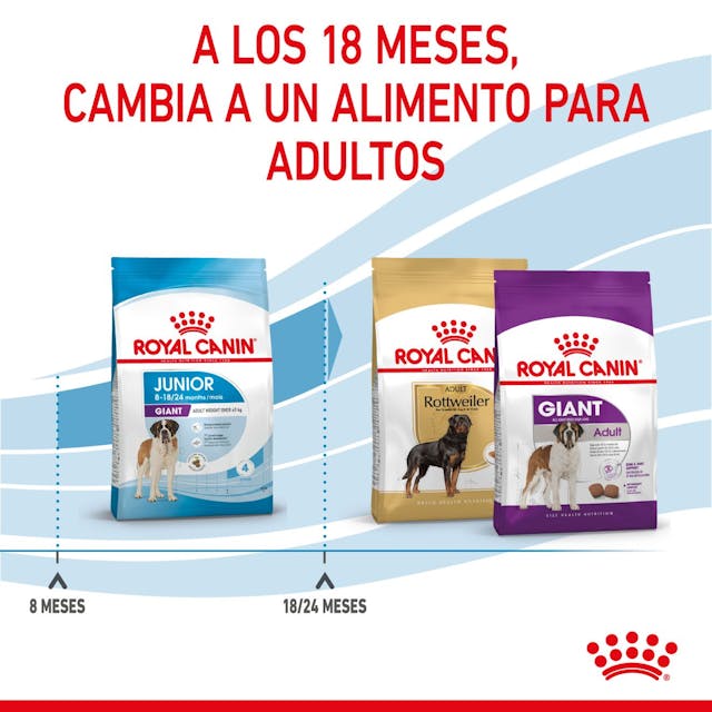 Royal Canin Giant Junior para Perro Cachorro Raza Gigante - 2