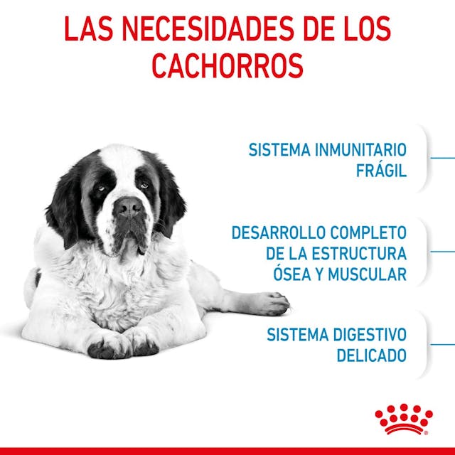 Royal Canin Giant Junior para Perro Cachorro Raza Gigante - 5