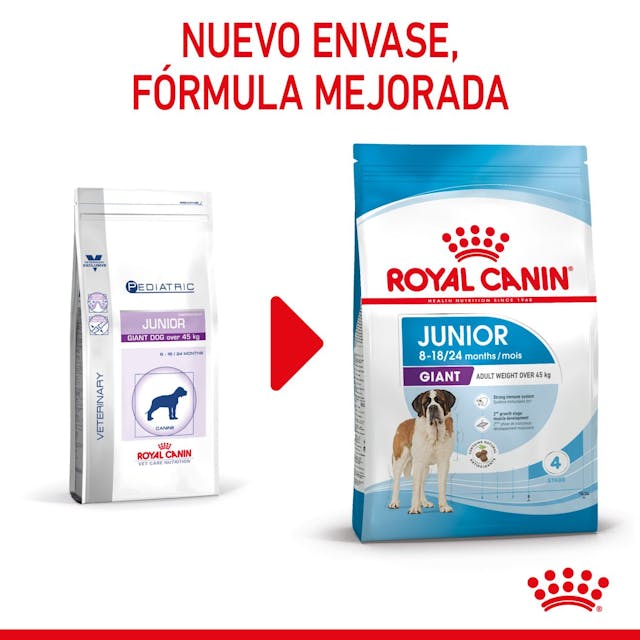 Royal Canin Giant Junior para Perro Cachorro Raza Gigante - 7