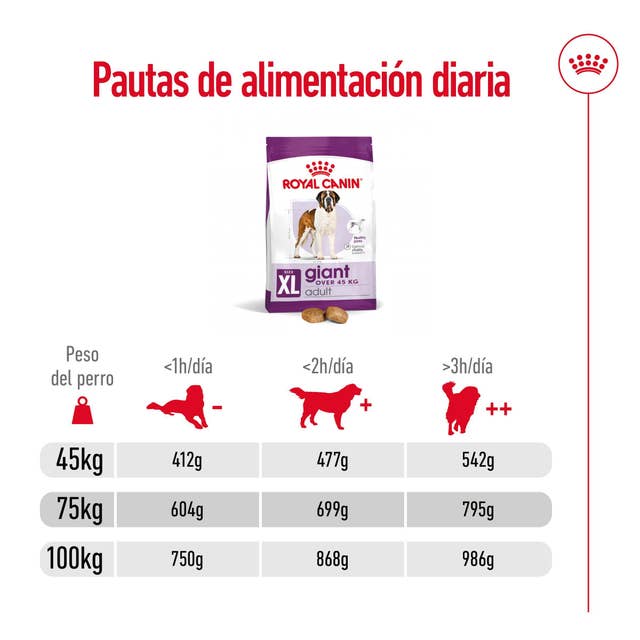 Royal Canin Giant Adult para Perro Adulto Raza Grande - 7