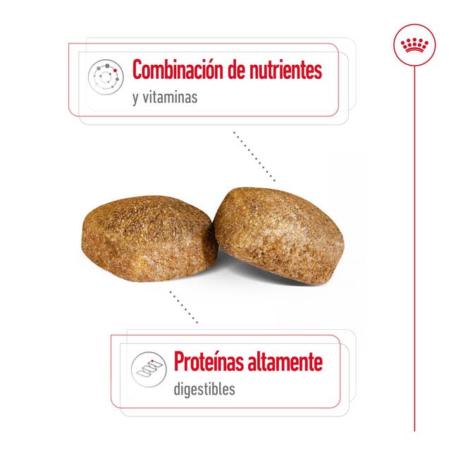 Royal Canin Giant Adult para Perro Adulto Raza Grande - 3