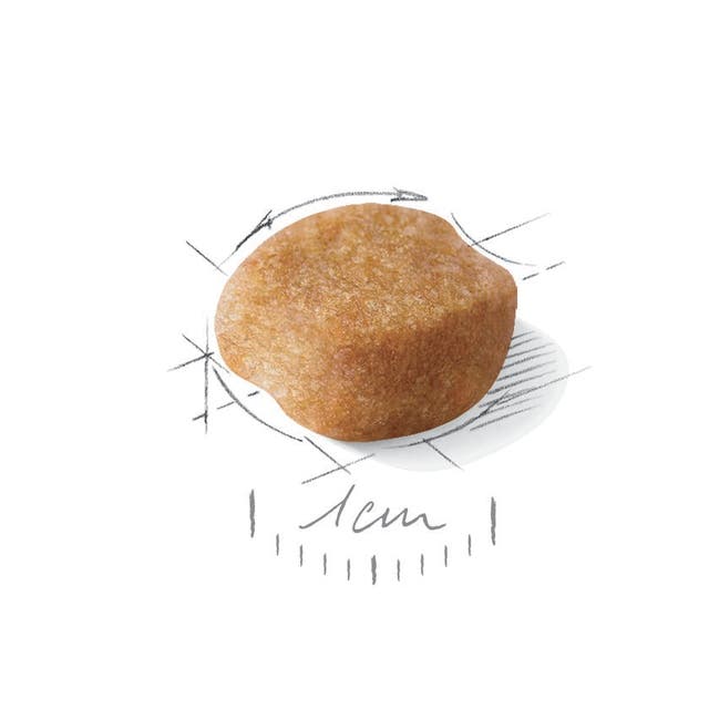 Royal Canin Yorkshire Terrier Adulto - 6