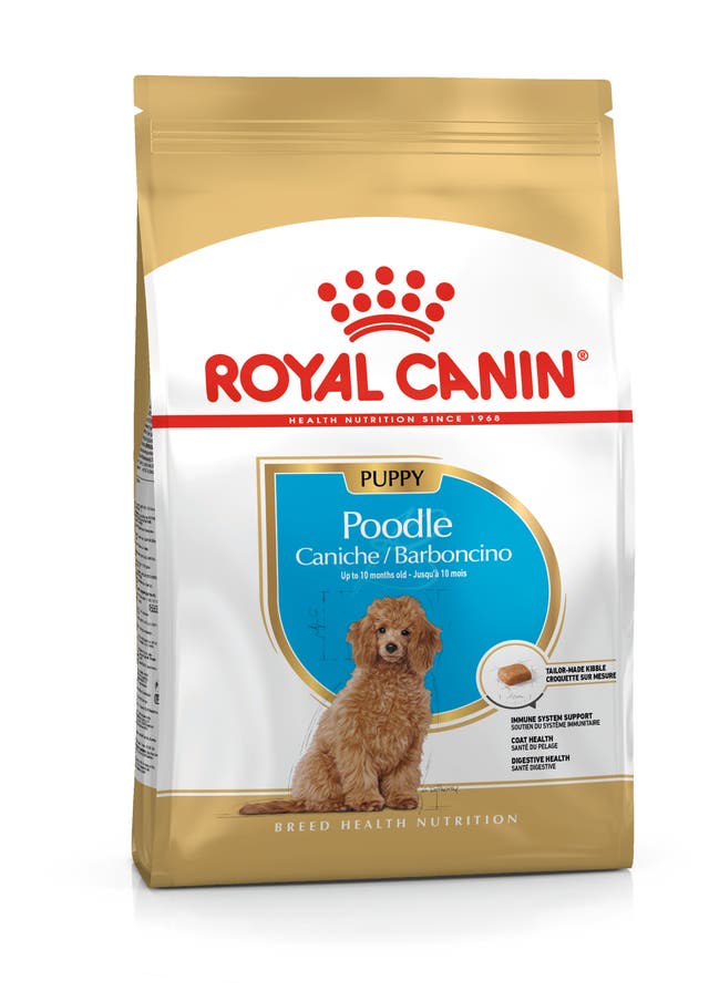Royal Canin Poodle Puppy - 1