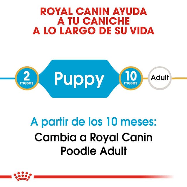 Royal Canin Poodle Puppy - 4
