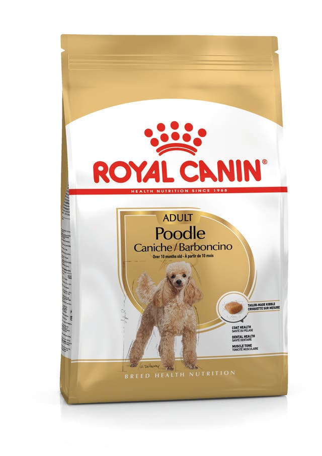 Royal Canin Poodle Adulto para Perro - 1