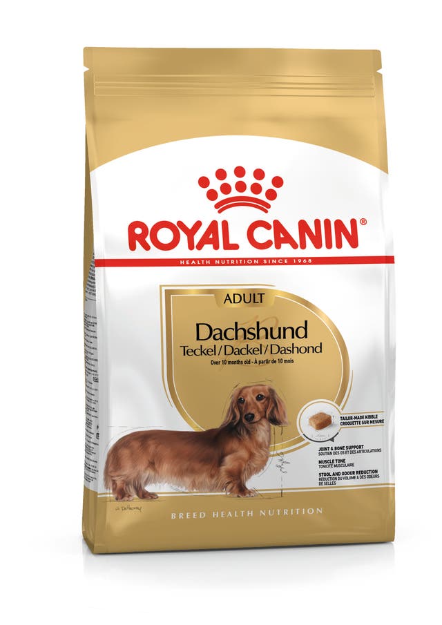 Royal Canin Dachshund Adulto para Perro Adulto - 1