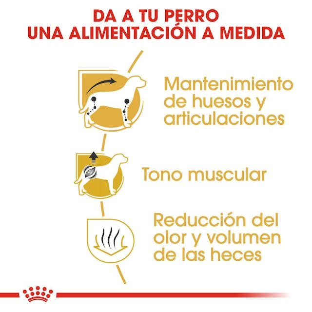 Royal Canin Dachshund Adulto para Perro Adulto - 3