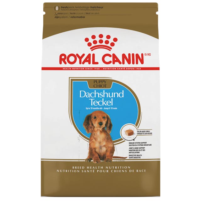 Royal Canin Dachshund Cachorro - 1