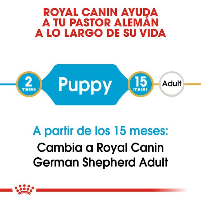Royal Canin German Shepherd Puppy - 5